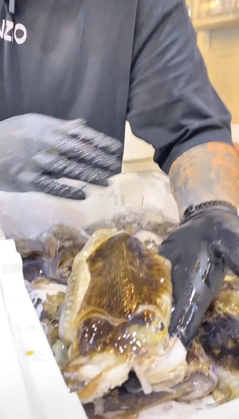 Il pescivendolo di Anzio consiglia vivamente di consumare la seppia nel mese di maggio.