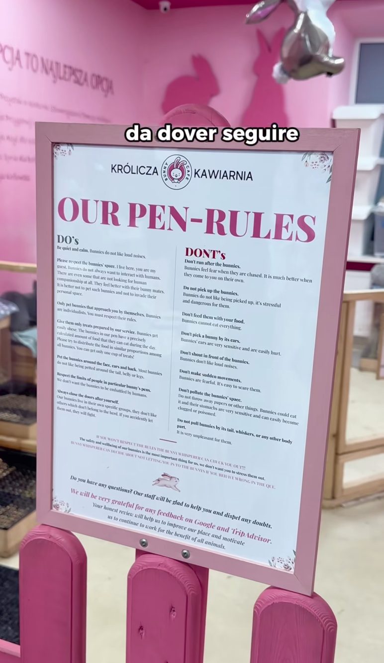 Le regole del bar con coniglietti di Cracovia.