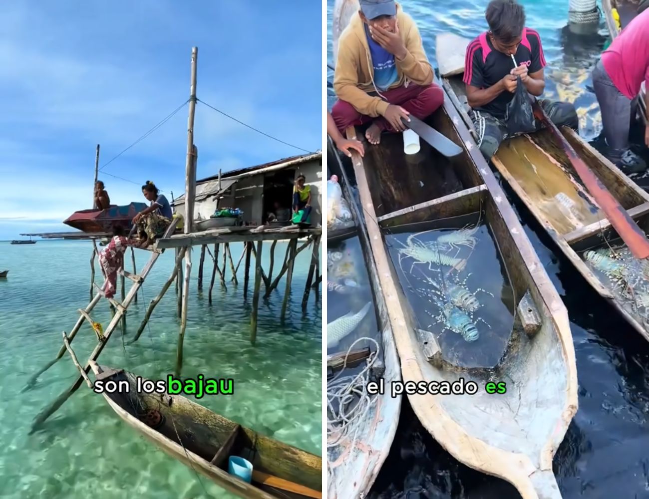 I Bajau sono una popolazione senza nazionalità, spesso definiti "i gitani del mare". Credits: @kragefreeburn