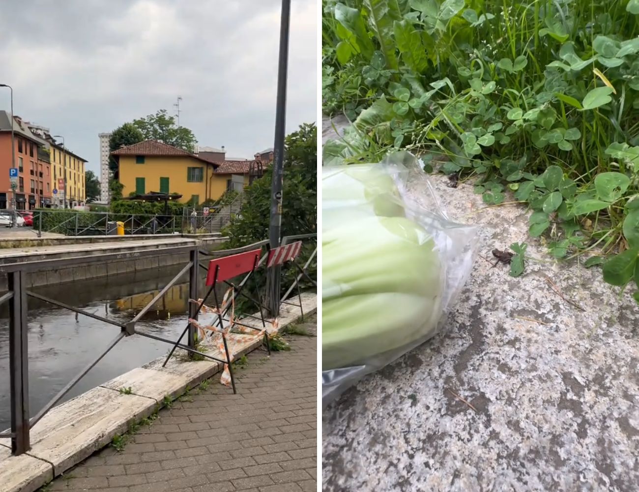 La Martesana (Milano) è il luogo in cui la mitica rana è stata liberata da Virginia.
