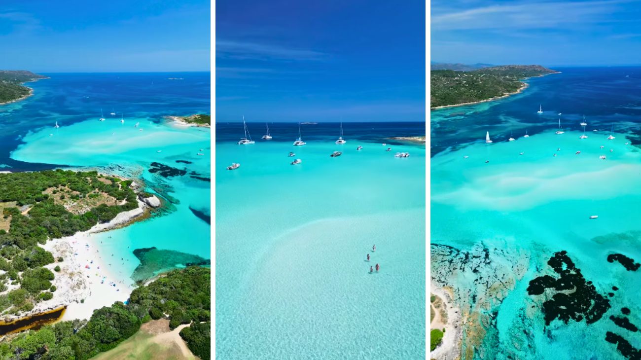 Profilo Aleguidi, Corsica