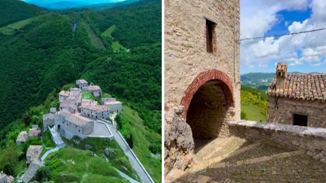 Profilo Lorenzo Maddalena, Marche