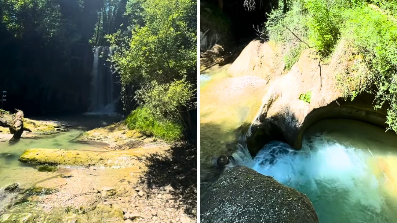 Profilo Lorenzo Maddalena, Marche (2)