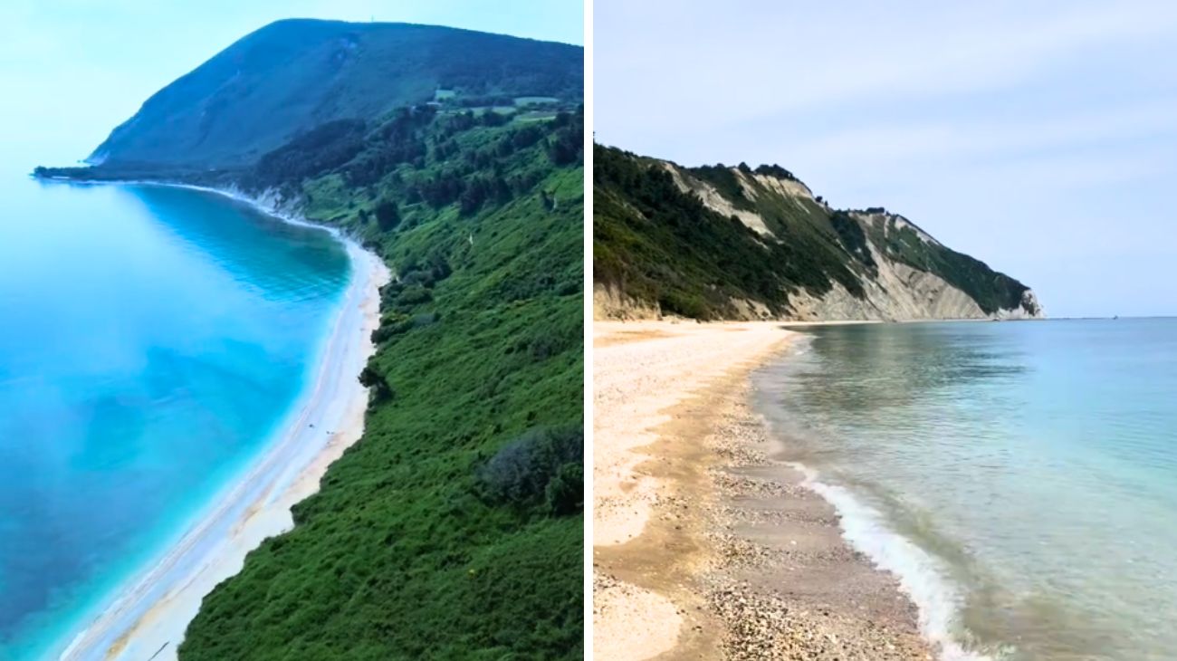 Profilo Lorenzo Maddalena, Marche