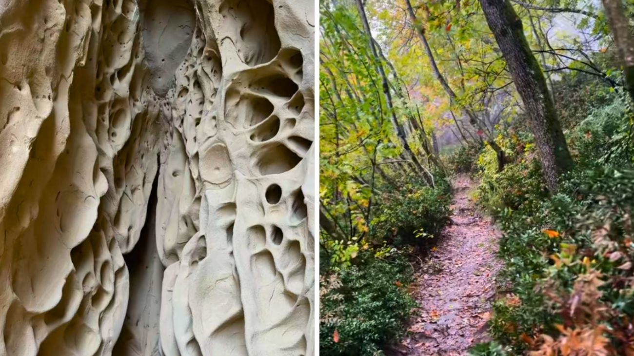 Profilo Marta una valigia di sogni, Bologna