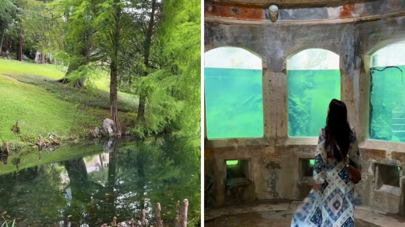 Social Alessandra Viaggia nel mondo, Acquario Vicenza