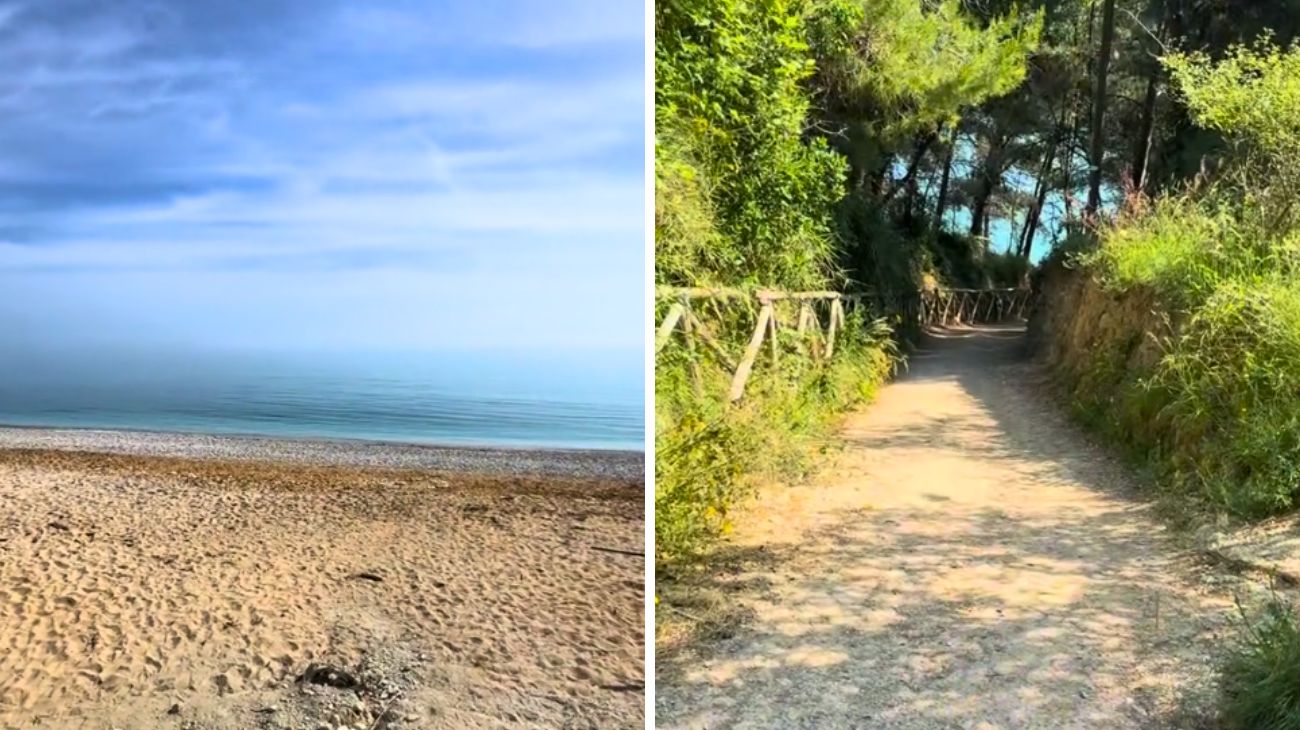 Social Lorenzo Maddalena, Marche