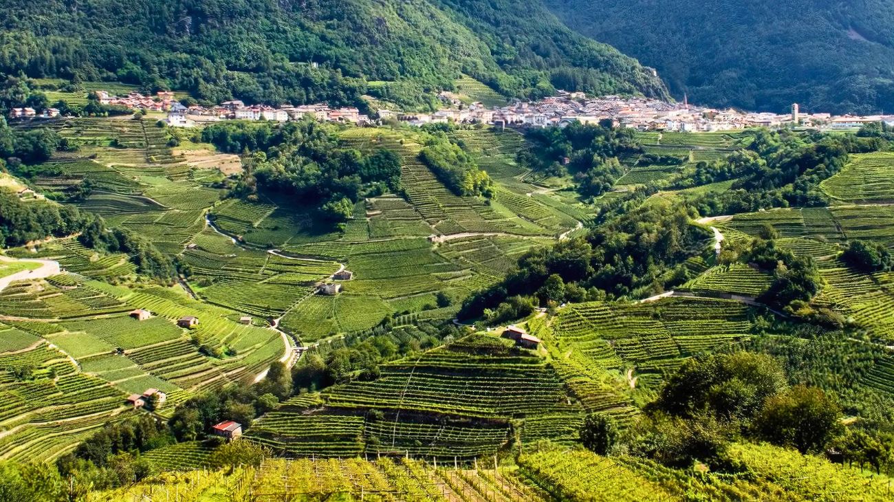 Val di Cembra, Estate