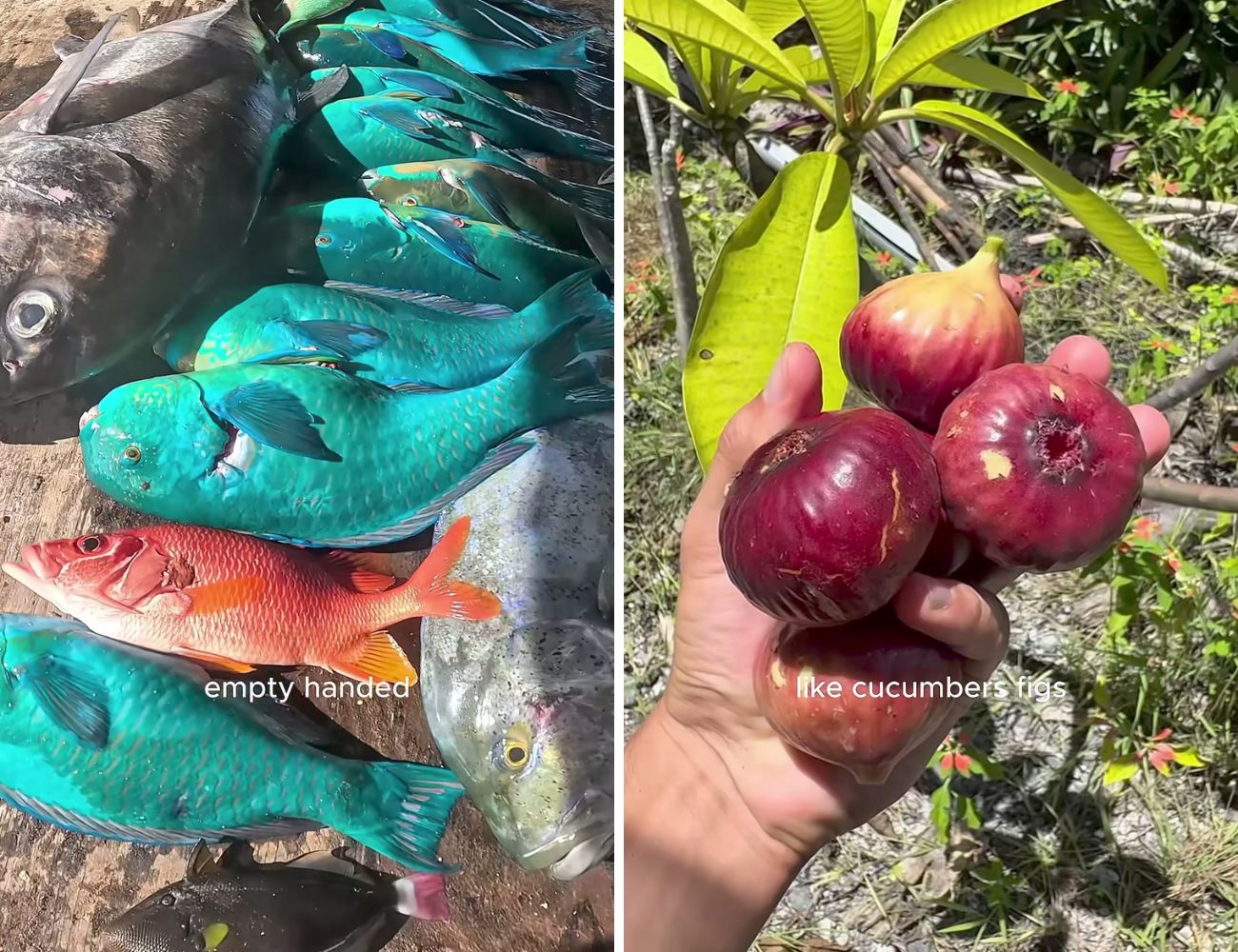 Nel luogo più remoto al mondo, l'alimentazione non è molto variegata.