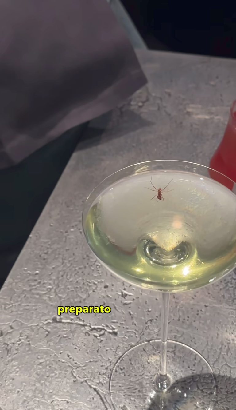 Il secondo drink è a base di formiche e c'è anche una formica intera all'interno.