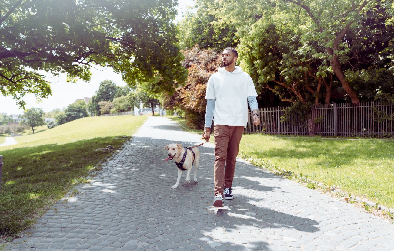 Camminare dopo mangiato con il proprio cane è un modo perfetto per conciliare due bisogni: quello tuo di velocizzare la digestione e quello suo di cambiare aria ed espletare alcuni bisogni fisiologici.