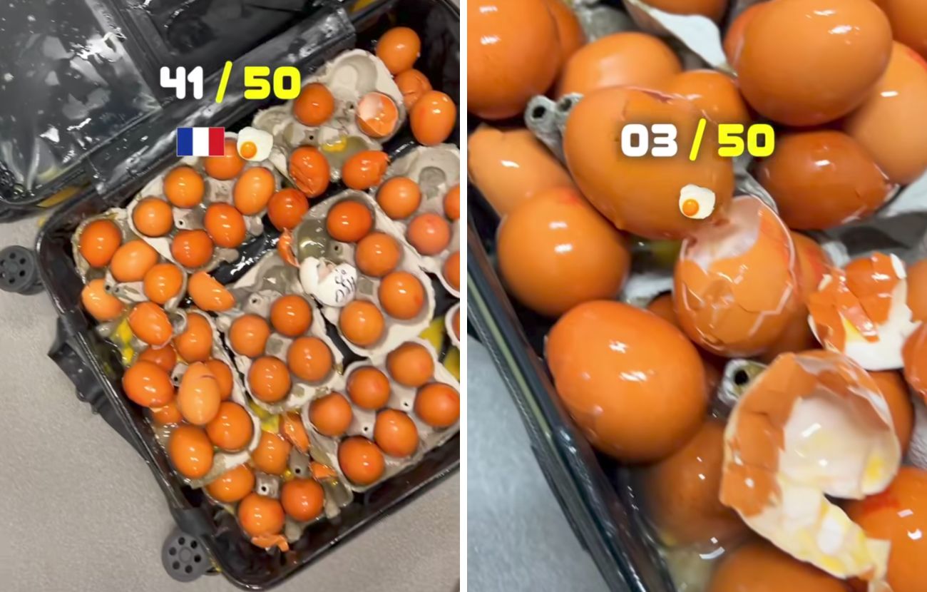 Alcune delle 50 uova distrutte dopo il viaggio dal Regno Unito alla Francia.
