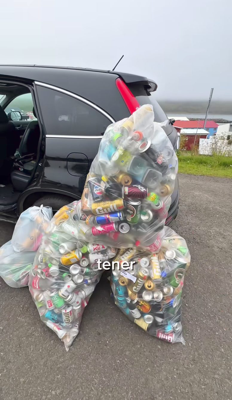 Le quasi 500 lattine che il content creator residente in Islanda ha recuperato