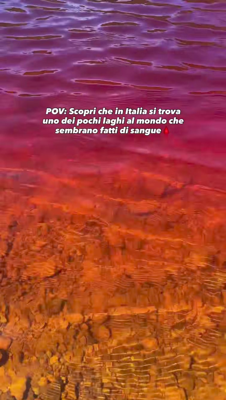 La 'scala' di rossi è suggestiva, considerando che è tutto naturale e che questo lago si trova sull'isola d'Elba.