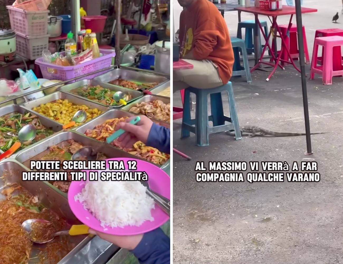 A sinistra una parte del buffet, a destra un varano che cammina tra la gente.