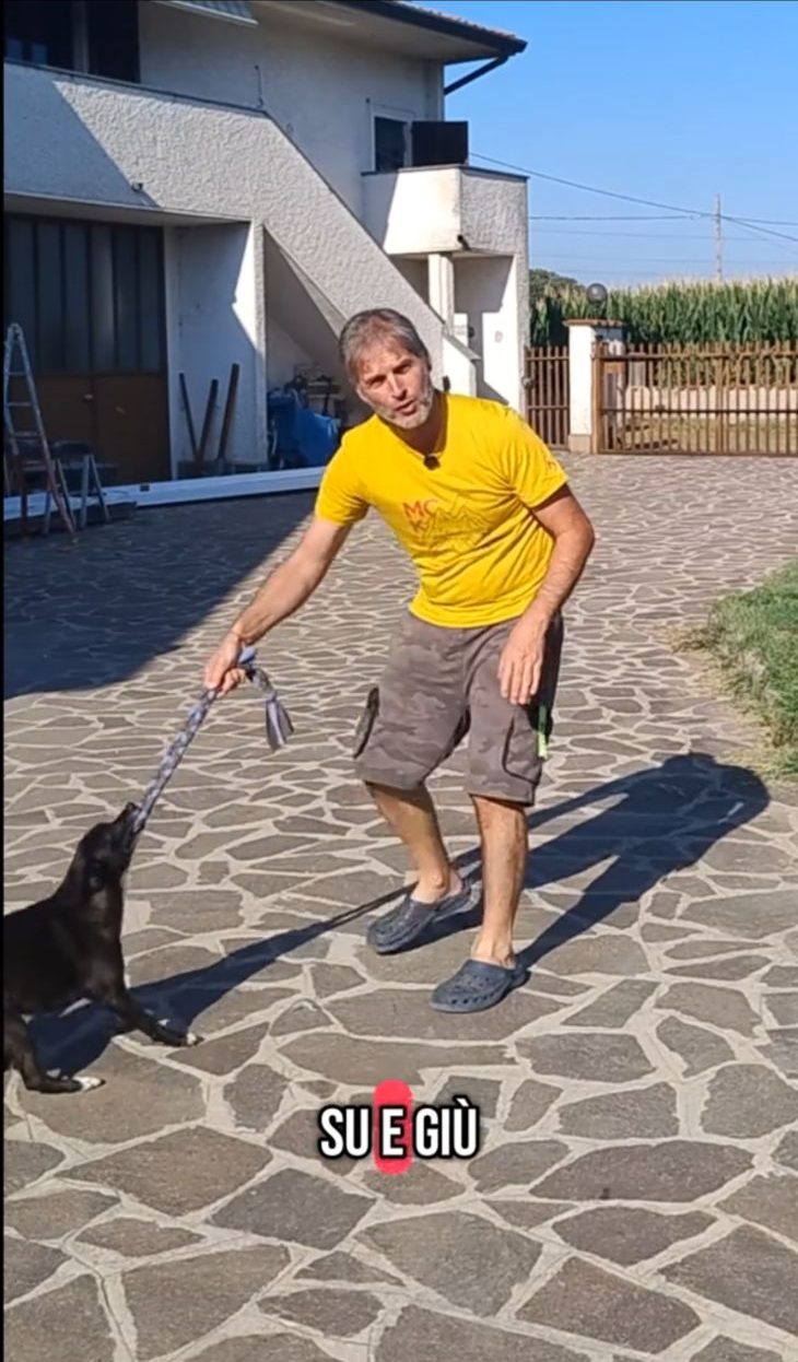 Quando facciamo il gioco di "tira e molla" con il cane, non dobbiamo fare il movimento su-giù