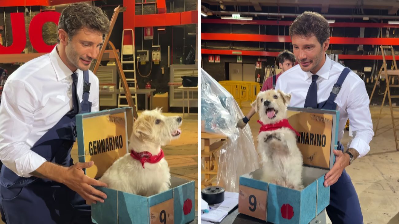 de martino affari tuoi