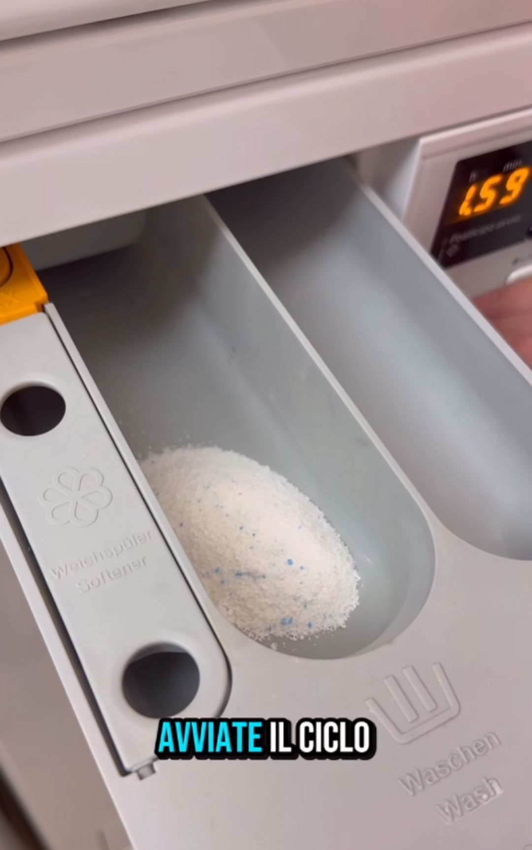 detersivo polvere