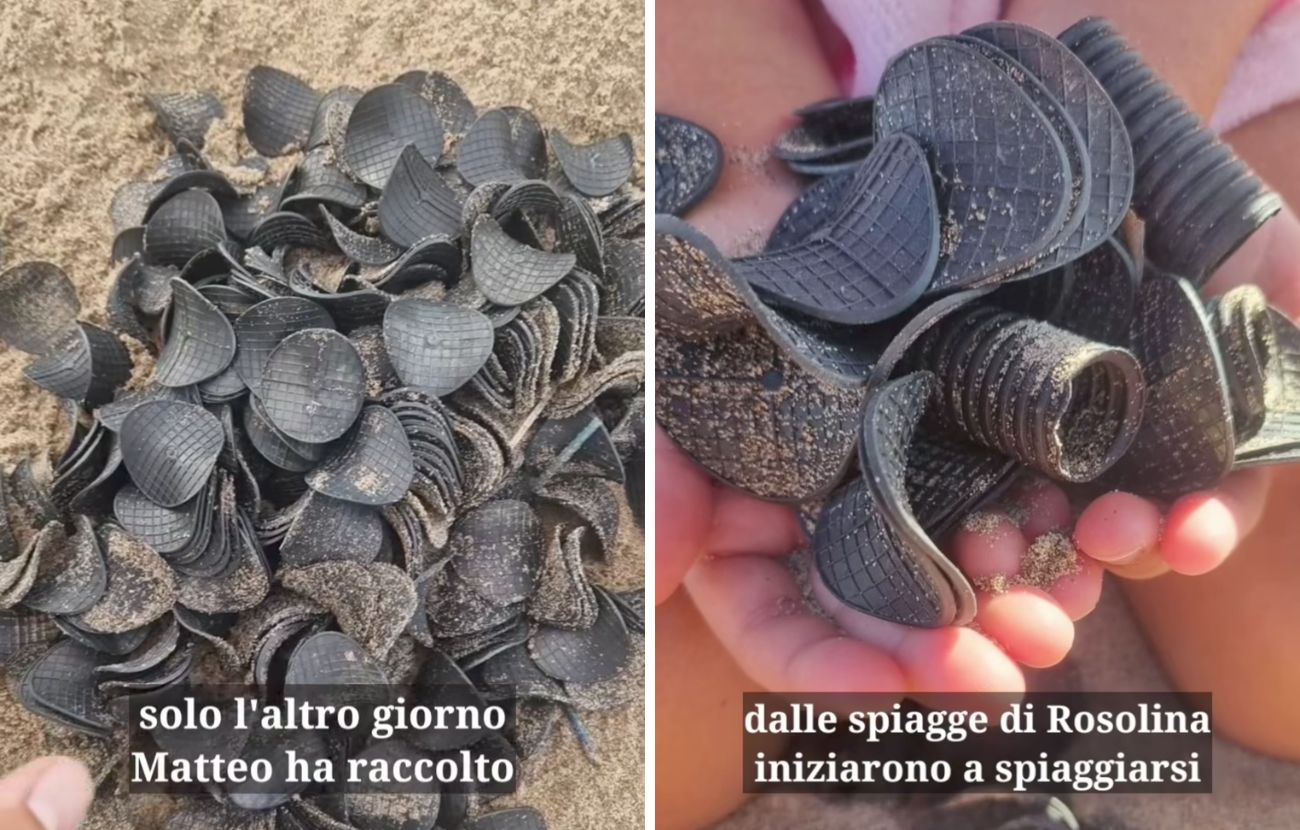 Dal Veneto alla Puglia, nel 2025 decine e decine di questi dischetti neri sono stati trovati nei mari italiani.