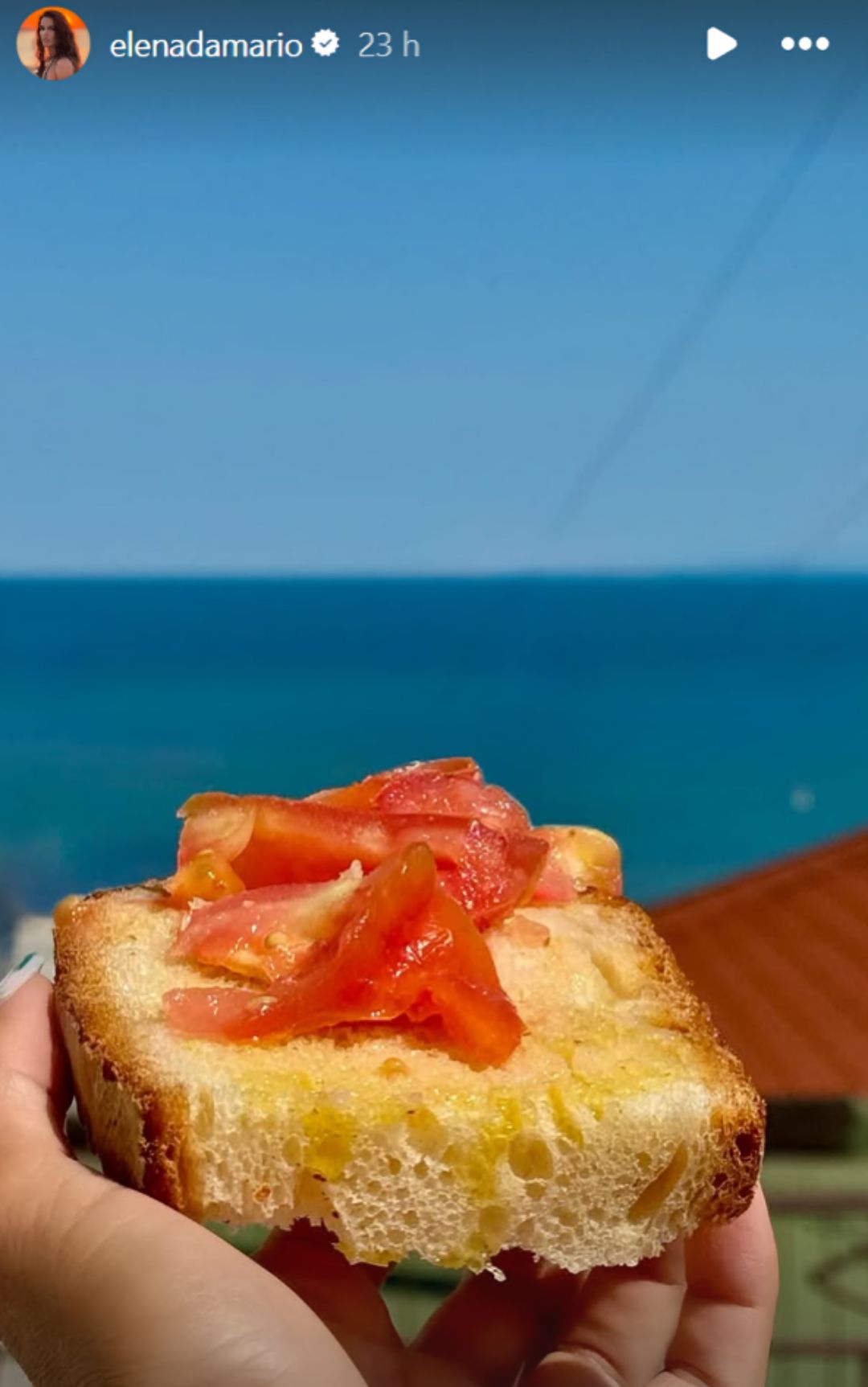 elena d'amario merenda