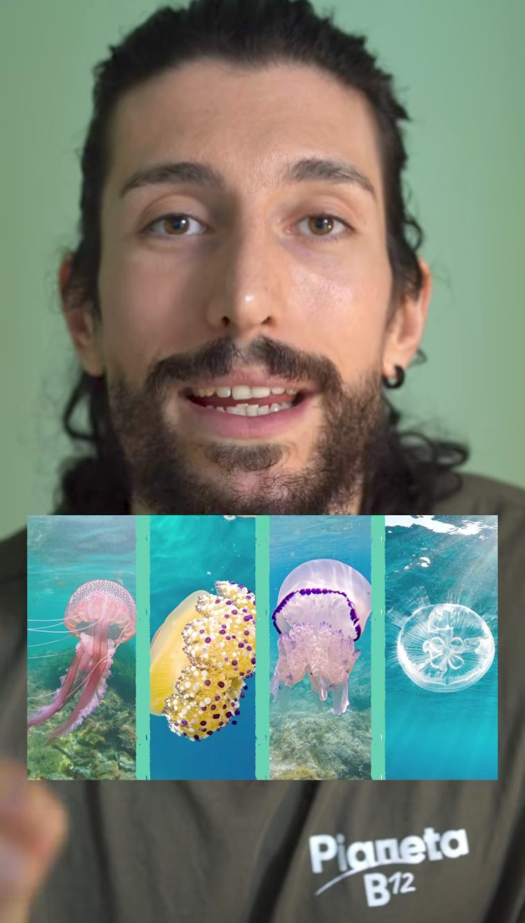 Da sinistra a destra: pericolosa, non pericolosa, non pericolosa, pericolosa.