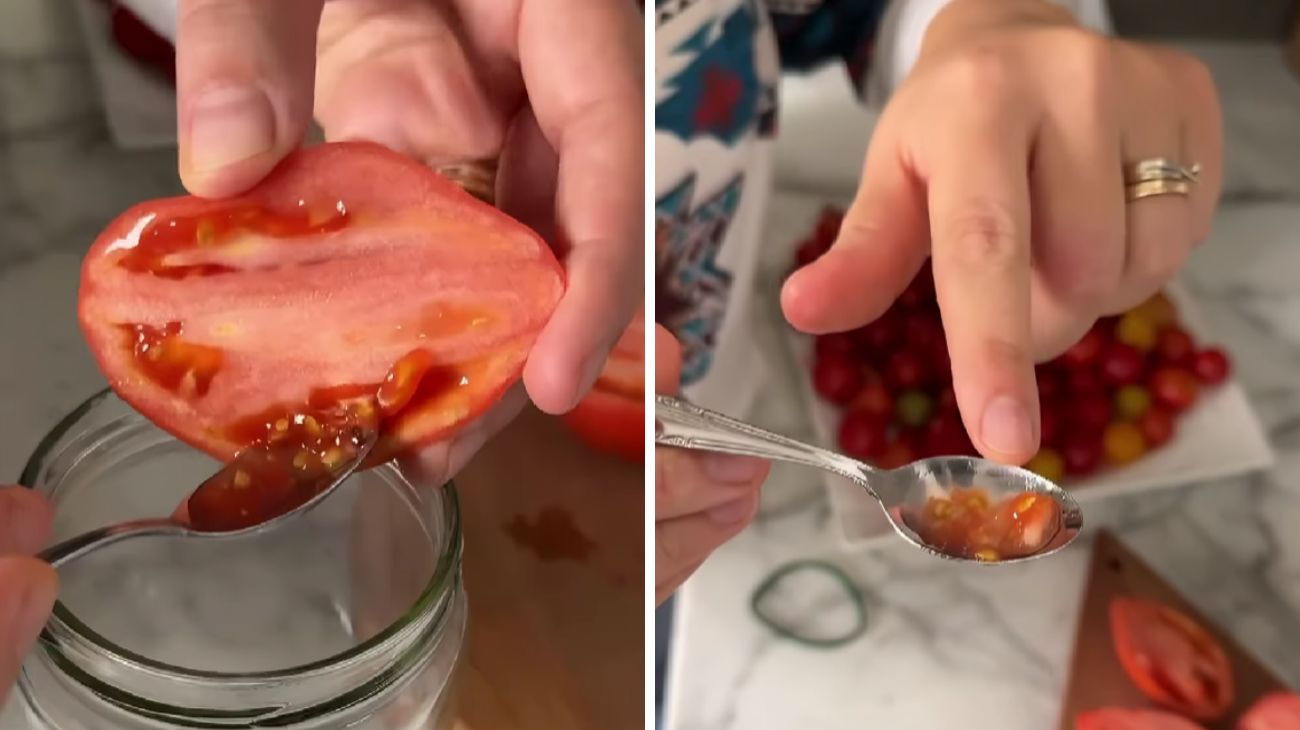 pomodori gratis casa