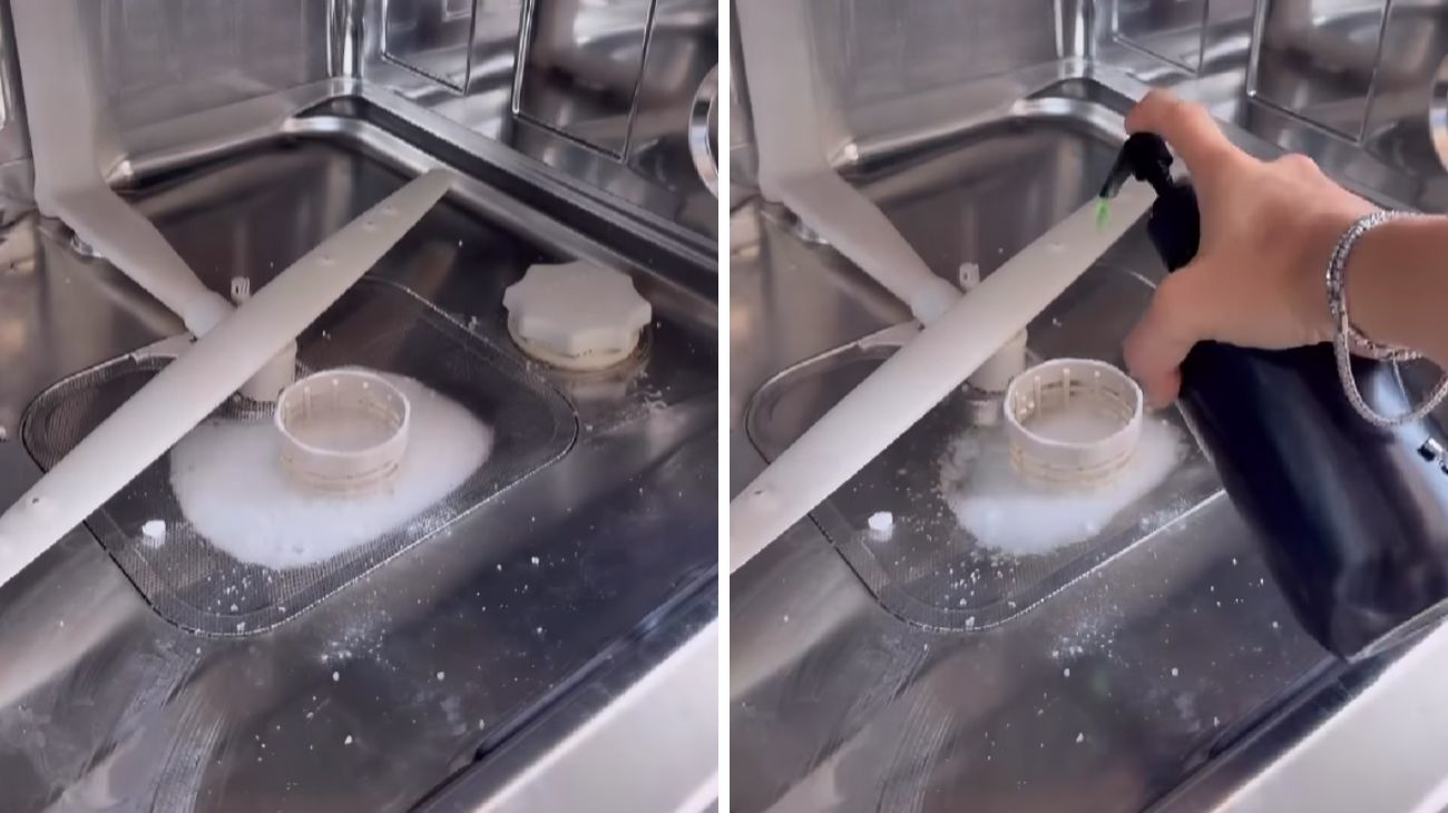 pulire lavastoviglie