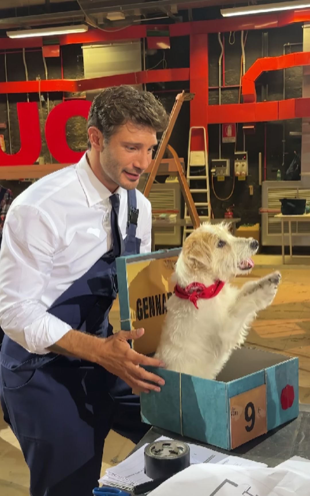 stefano de martino gennarino