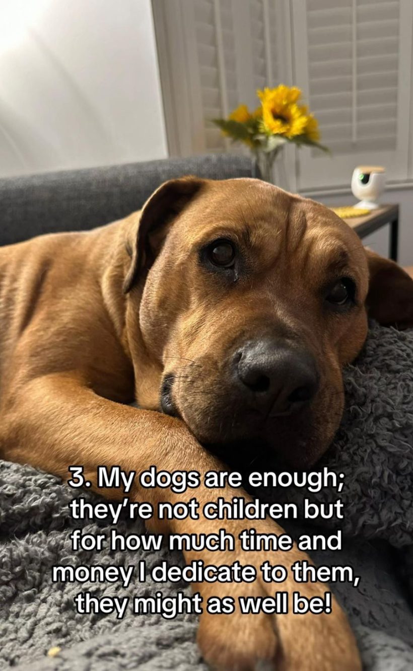 Secondo la donna, "i cani sono abbastanza"