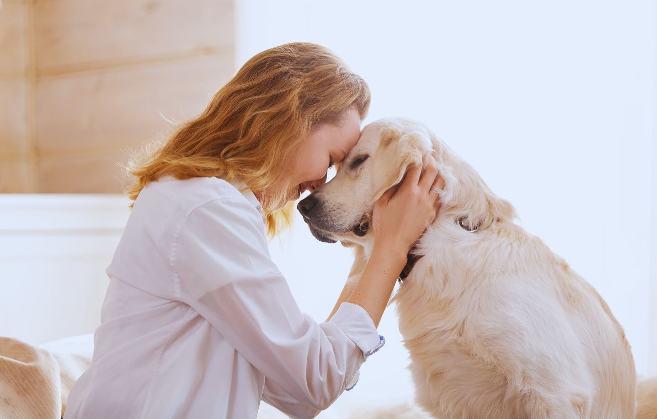 Il collo è una delle zone che il cane maggiormente apprezza per essere accarezzato.