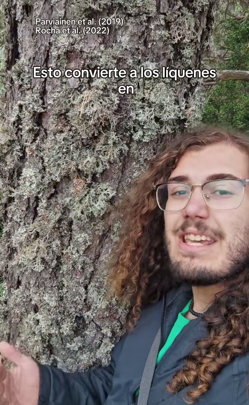 Un albero ricco di licheni è un albero che cresce in una zona in cui l'aria è molto pulita.