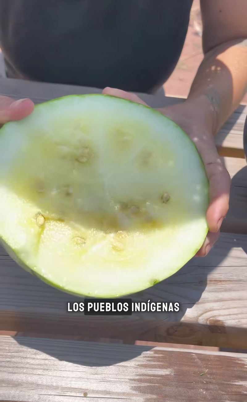 L'anguria gialla vista da vicino