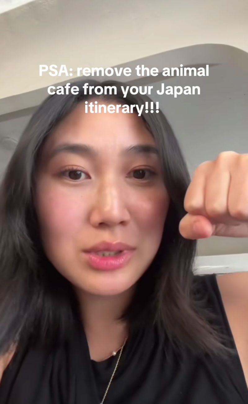 Il messaggio della content creator è chiaro: elimina i Cat Café e simili dal tuo itinerario in Giappone