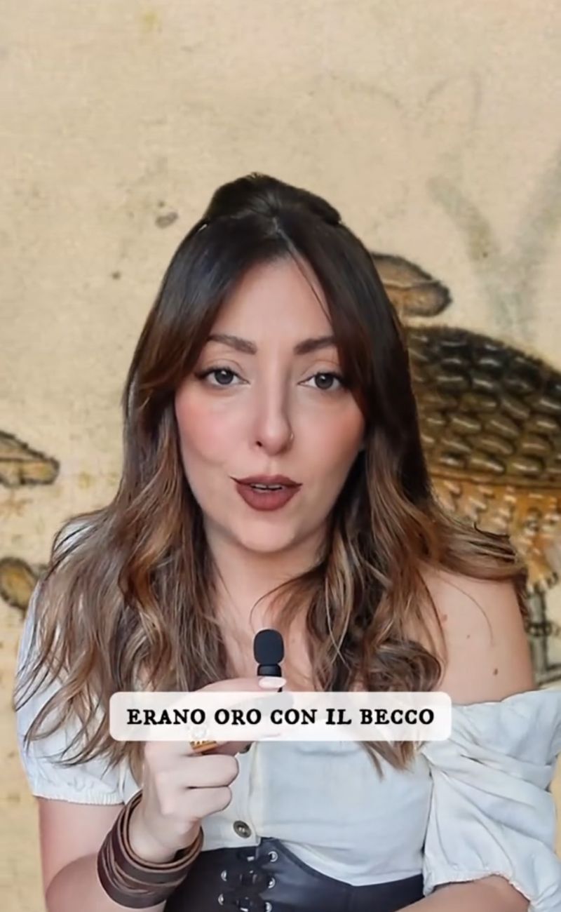 Nel Medio Evo, erano principalmente le persone benestanti a possedere le galline, soprattutto se il pollaio era numeroso.