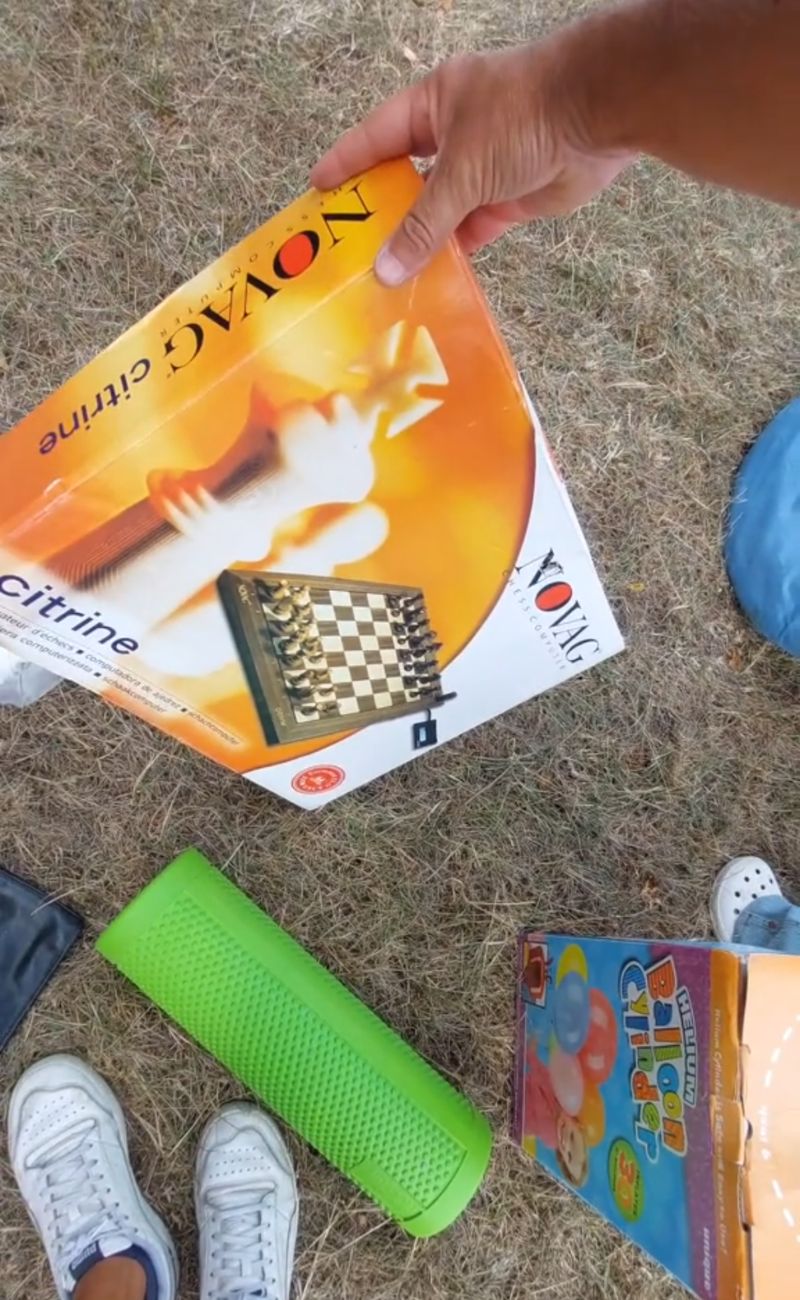 Questa scacchiera elettronica è un pezzo piuttosto raro del 2006, per cui c'è chi è disposto a pagarla anche dai 200 ai 300€.