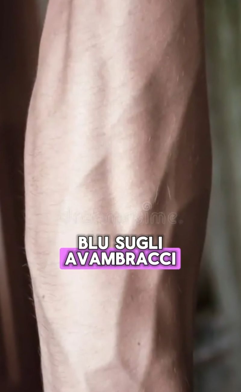 "Principe Azzurro" probabilmente deriva dal concetto di sangue blu