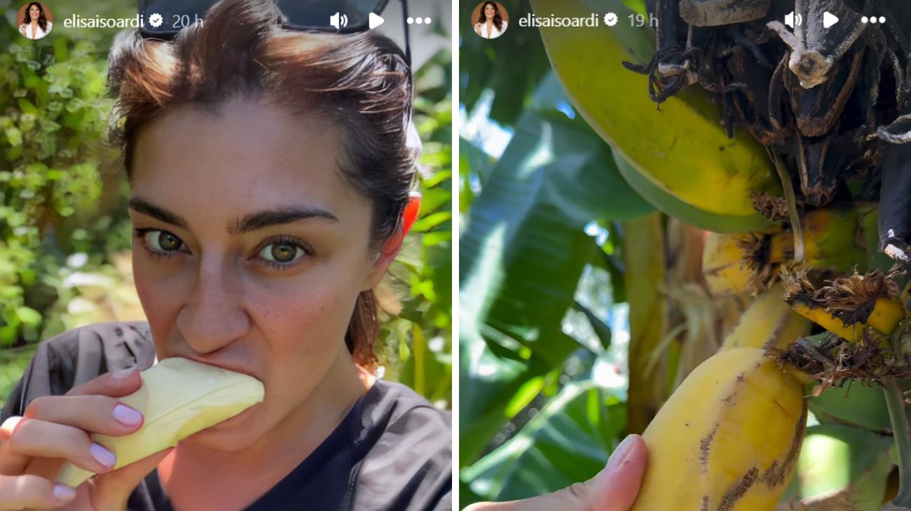 isoardi storie instagram