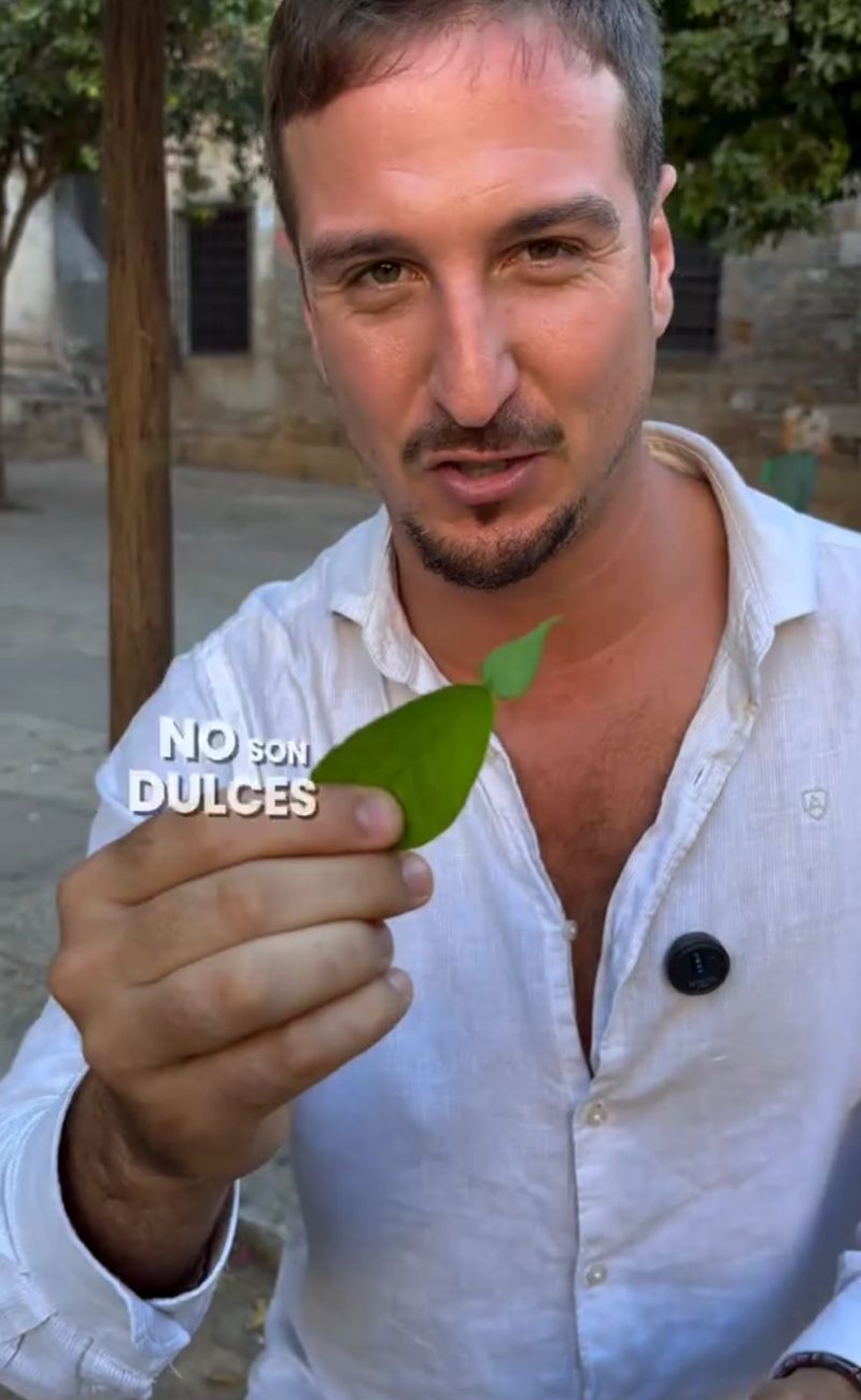 La foglia con la 'punta' mostra chiaramente che l'albero ha arance amare