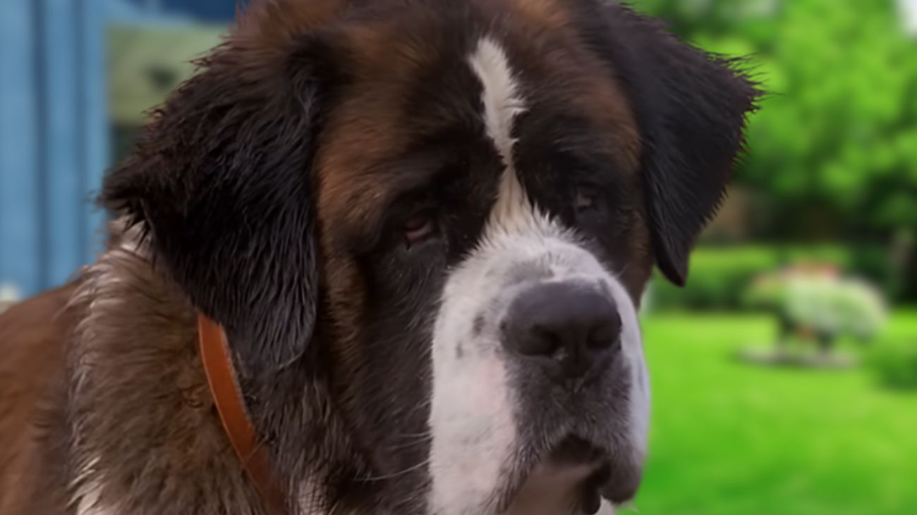 beethoven scena film