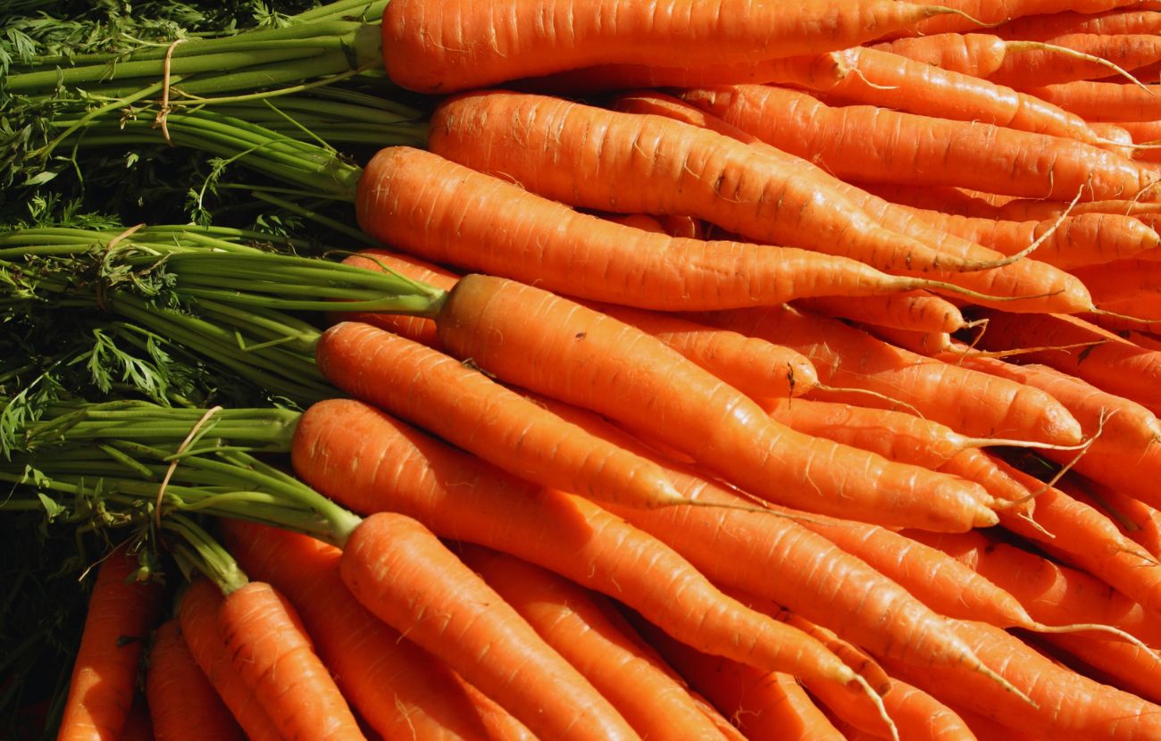 Le carote sono un alimento naturale, ricco di vitamine e da aggiungere a una dieta equilibrata ma, come per tutto, è sbagliato abusarne.