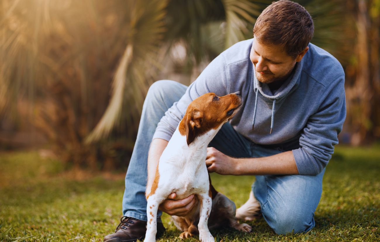 Molte persone parlano ai propri cani con "voce da bambino". Questo comportamento ha varie conseguenze - quasi tutte positive - sul cervello dell'animale.