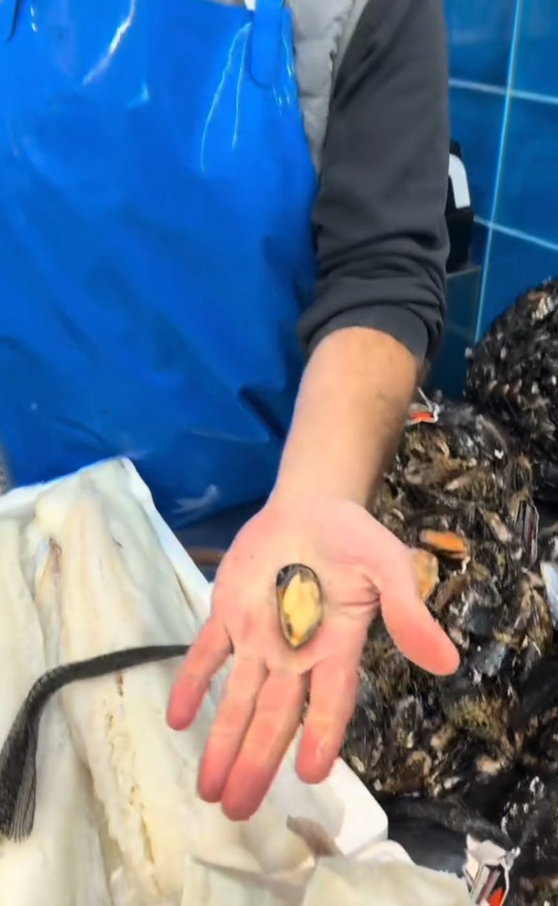 Una cozza 'datterina' raccolta ad ottobre ma non per questo di scarsa qualità.