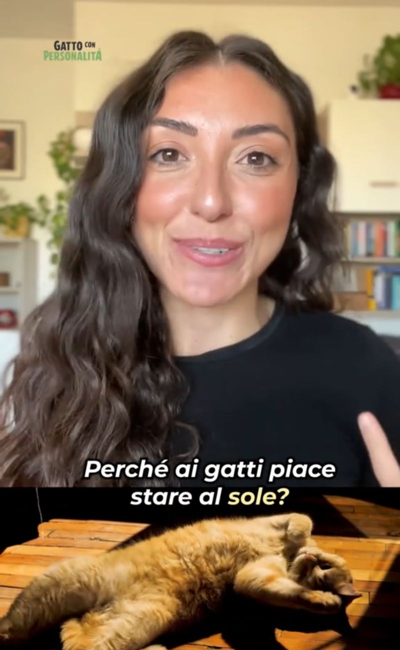 L'esperta di "Gatto con personalità" ha spiegato perché questi animali amano così tanto stare al sole.