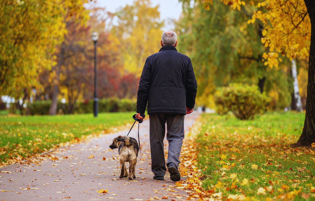 Garattini spiega che è importante camminare ma lo è anche farlo a passo svelto.
