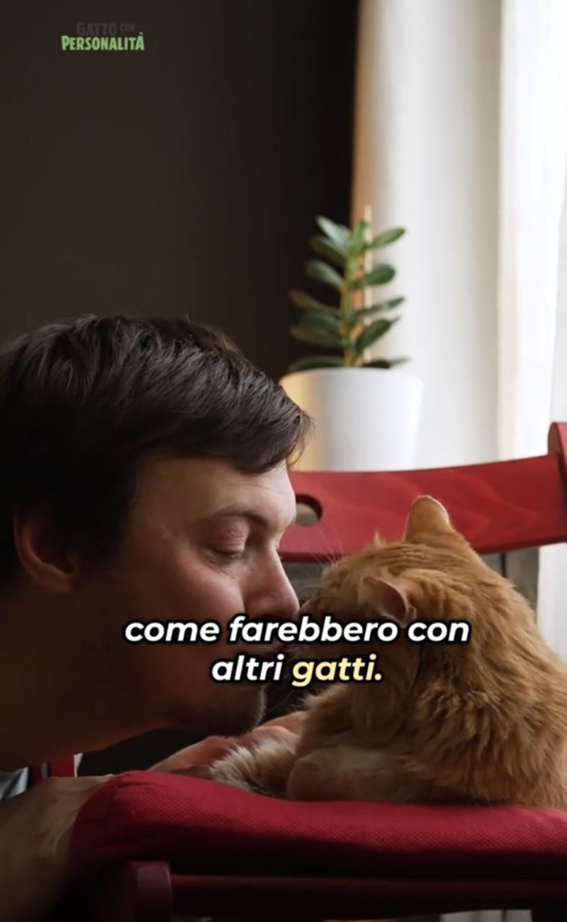 In estrema sintesi, i gatti pensano che noi siamo grandi gatti imbranati. Credits: Gatto con Personalità