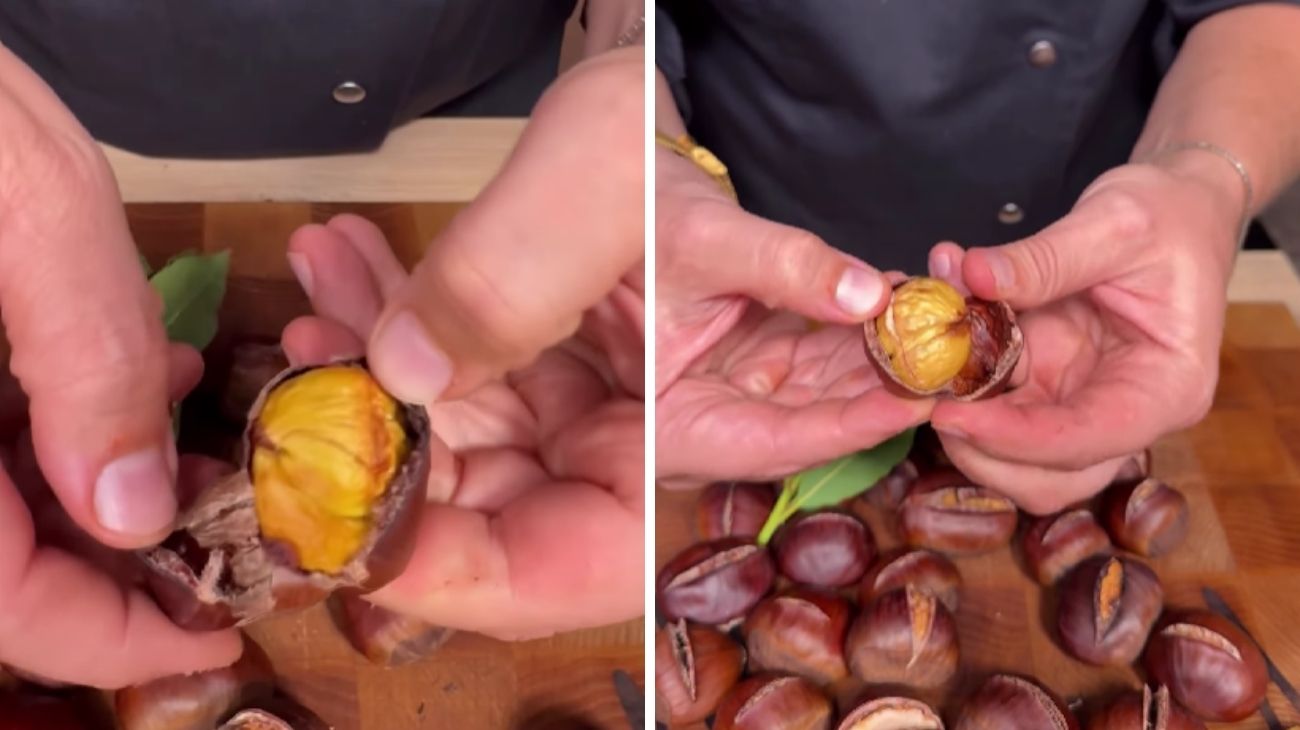 castagne andrea mainardi