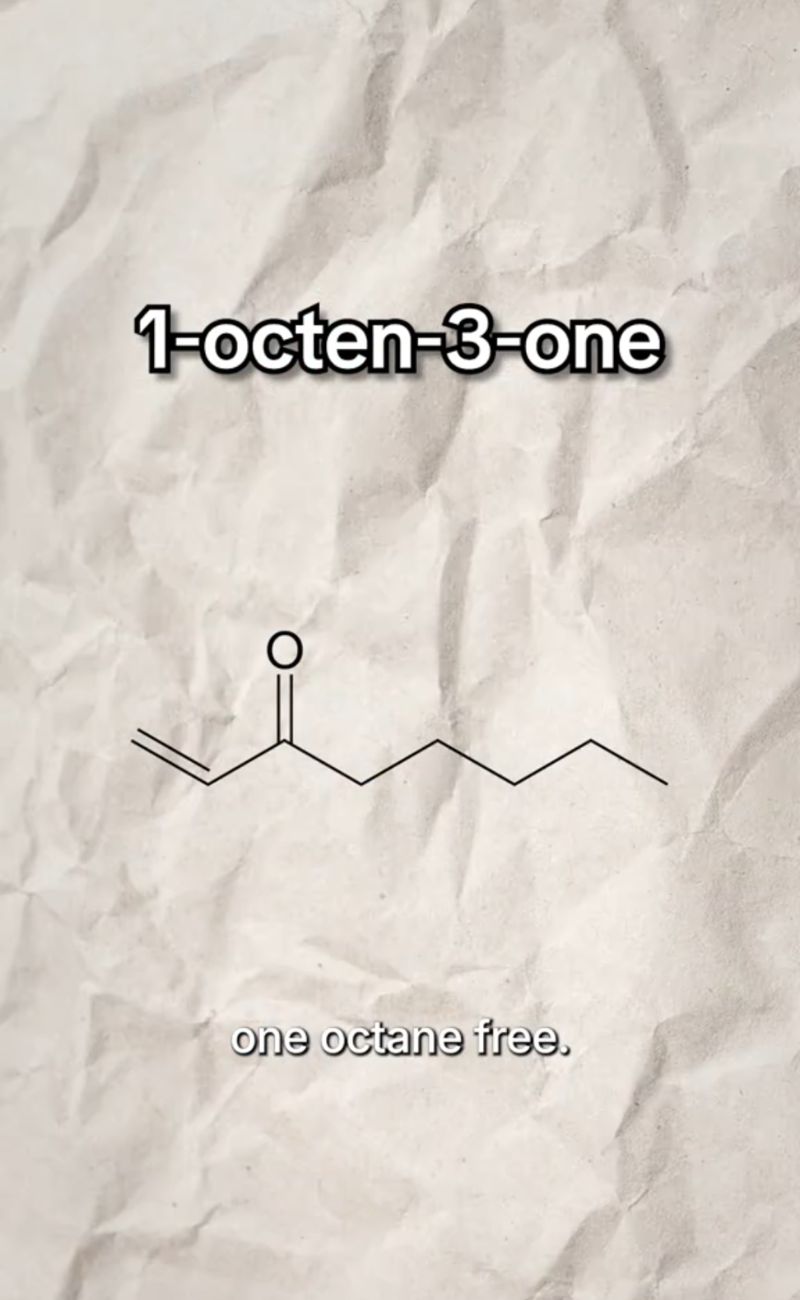 La molecola 1-octen-3-one è quella che 'genera' l'odore particolare che senti dopo aver toccato chiavi o monete