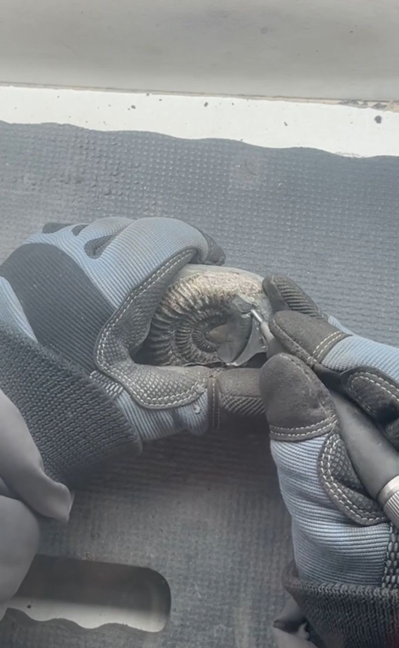 Liam, con i suoi strumenti di precisione, ha rotto la roccia trovandoci dentro un fossile