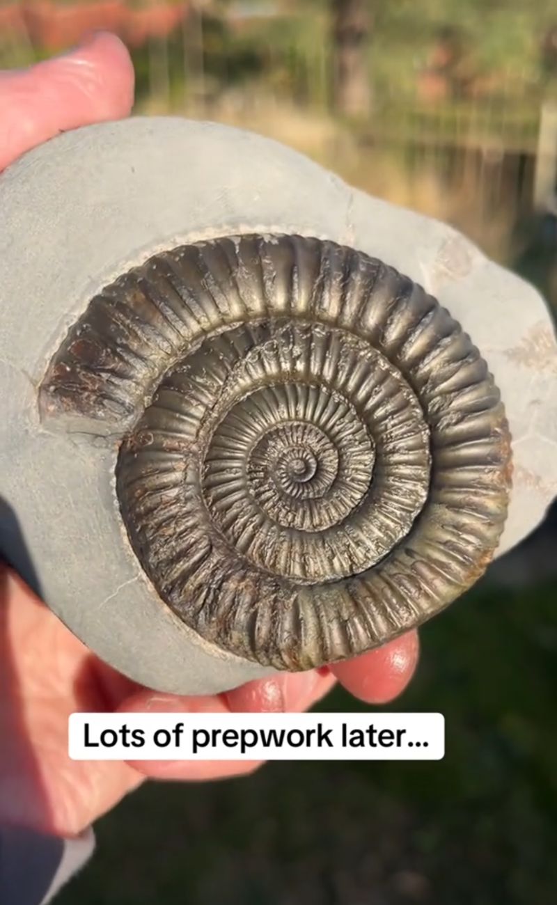 Dopo svariati minuti di lavoro manuale, questo è il risultato finale.