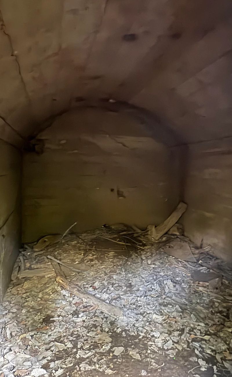 All'interno della 'casa' non è rimasto nulla, se non fogliame. Un tempo, però, conteneva le scorte di cibo delle famiglie che vivevano nei paraggi